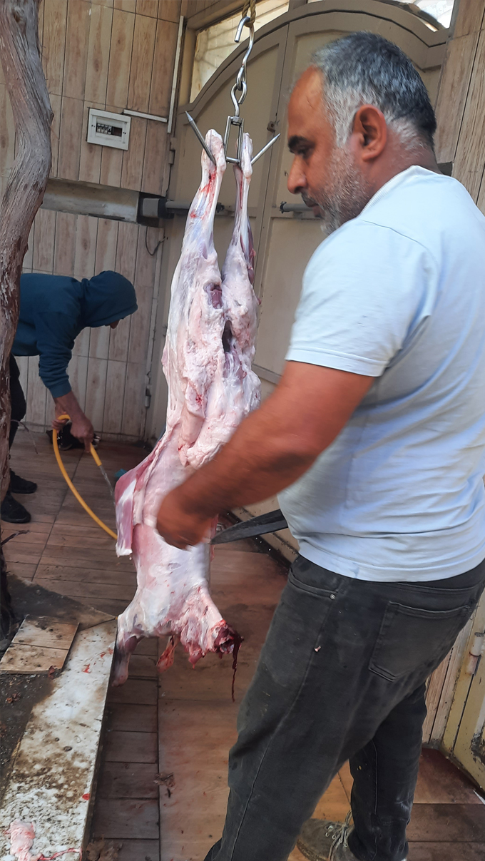 photo14988261434