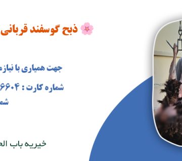 ذبح گوسفند آبان 1403