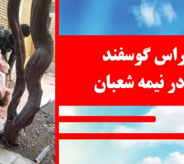 قربانی 25 بهمن