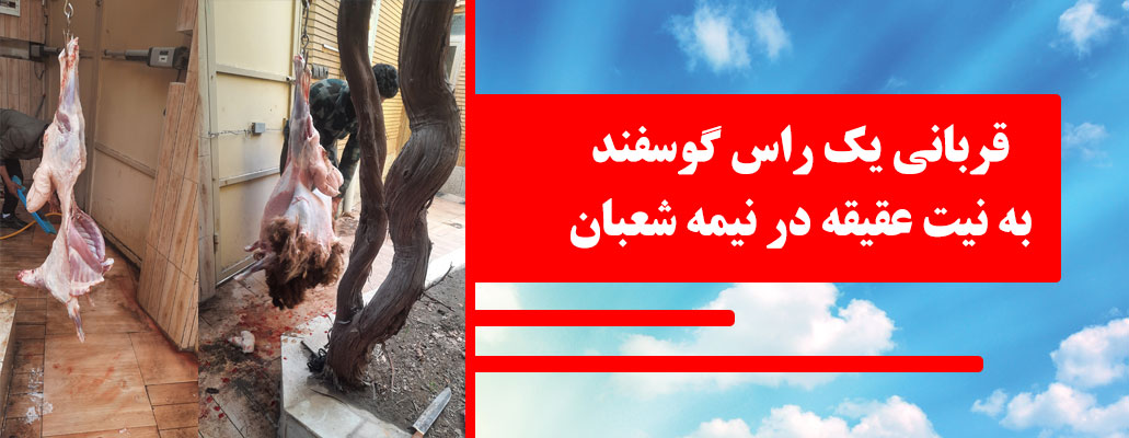 قربانی 25 بهمن