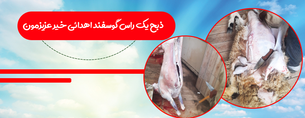 ذبح گوسفند 404