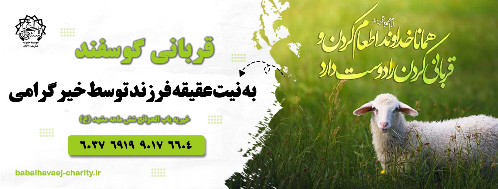 قربانی گوسفند به نیت عقیقه فرزند